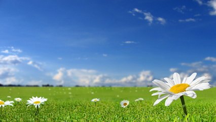 地震时的9条须知